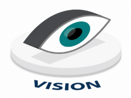 Vision